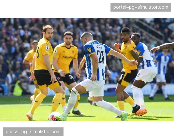 争议瞬间：狼队对阵布莱顿，疑似点球未判，VAR检查后维持原判